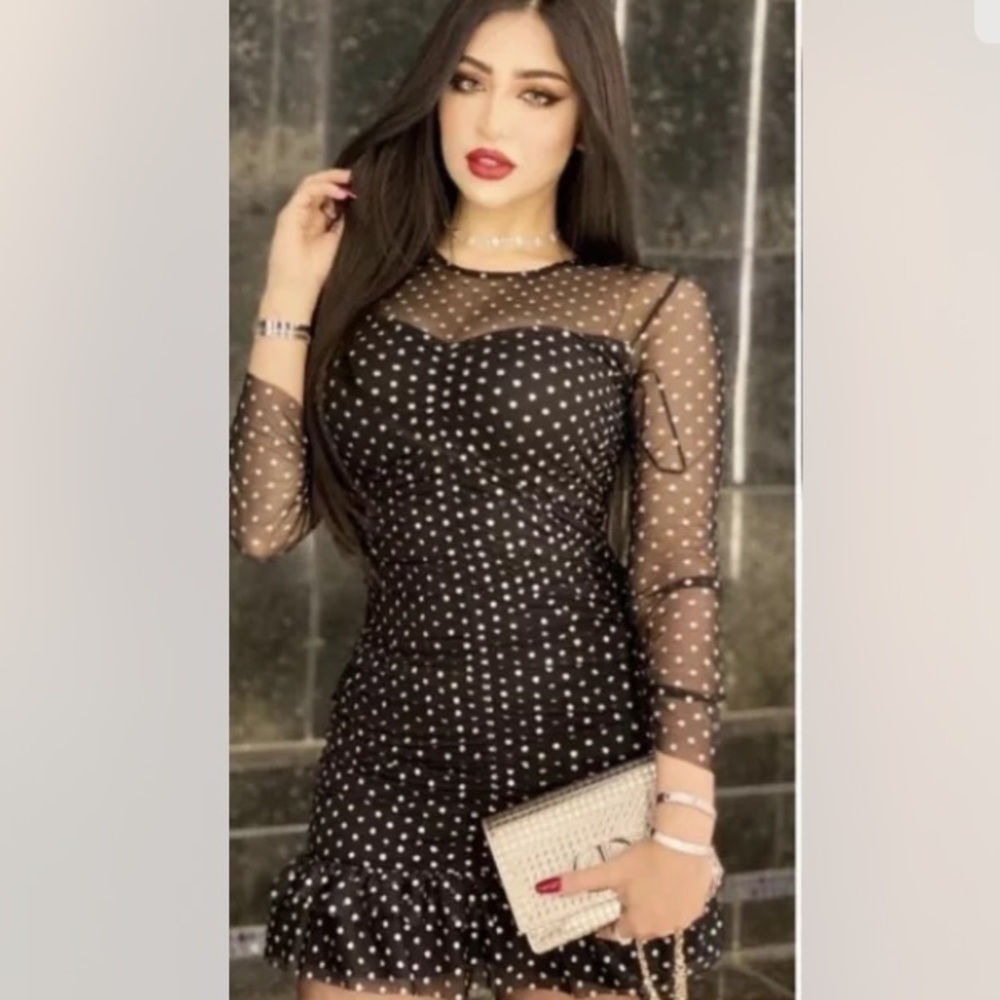 Zara Black and silver Polka Dot Ruched Tulle Swiss Dress